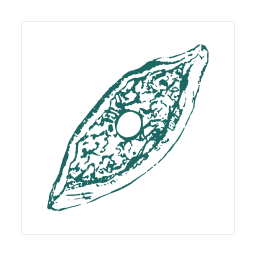 Pide